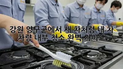 강원 양구군에서 새 차처럼! 내 차, 차량 내부 청소 완벽 가이드