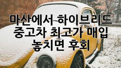 마산에서 하이브리드 중고차 최고가 매입? 🚗💨 놓치면 후회!