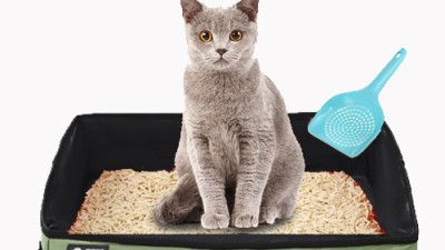 냥이 여행 필수템! 득템찬스 놓치지 마세요😻 고양이휴대화장실 후기